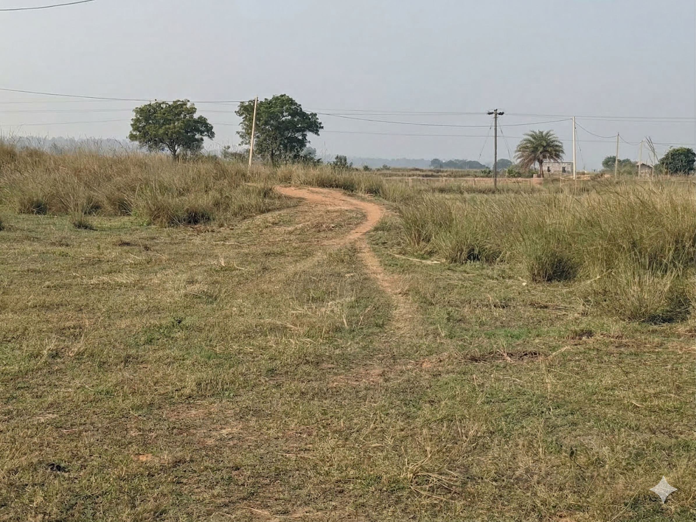 A scenery of my village Kindira